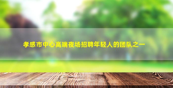 孝感市中心高端夜场招聘年轻人的团队之一